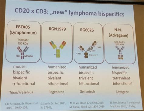 Eha Swg 2017 Rare Lymphomas Bispecific Antibodies Bites