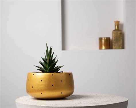 Concrete Modern Vessel Planter Gold Handpainted Collection Eliteearth