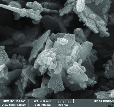 The Fesem Micrograph Of Green Synthesised Znonps Zno Nps Zinc Oxide