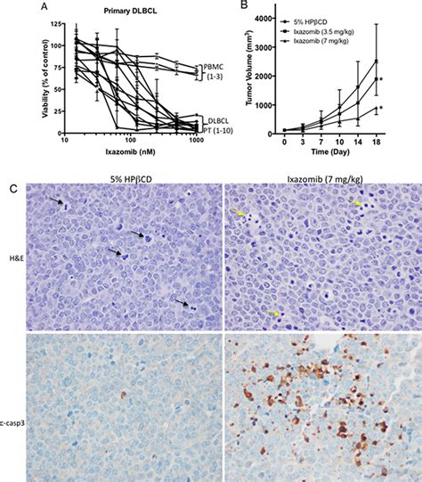 Preclinical Efficacy And Biological Effects Of The Oral Proteasome Inhibitor Ixazomib In Diffuse