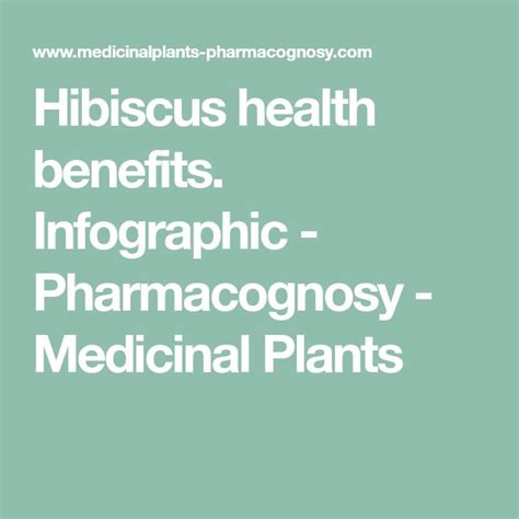 Hibiscus Health Benefits Infographic Pharmacognosy Medicinal