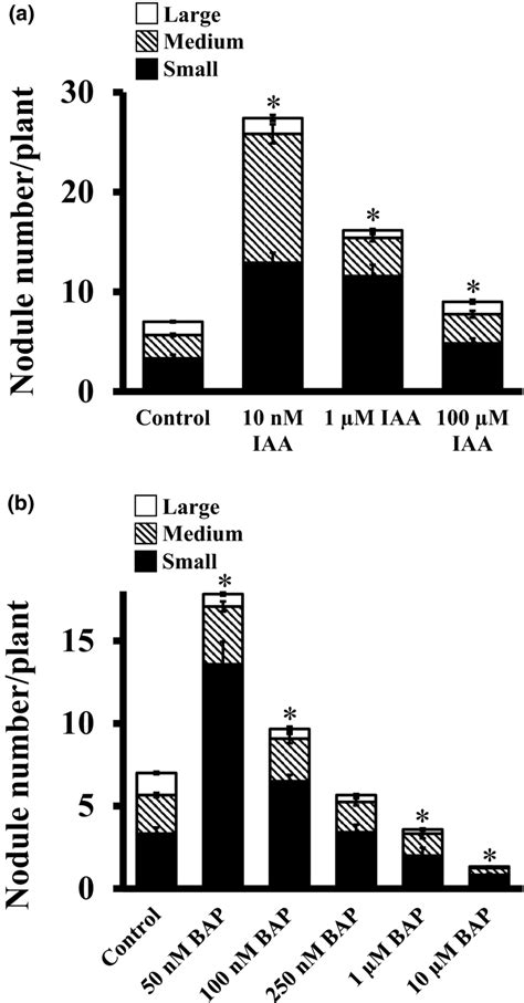 Effect Of Exogenous Auxin Iaa And Cytokinin Bap On Nodule Formation