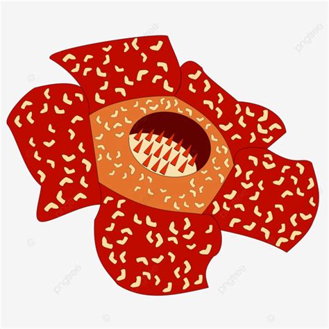 Beautiful Rafflesia Arnoldii Indonesian Big Flower Rafflesia Arnoldii