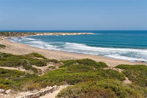 Discover the Stunning Beauty of Lara Beach, Cyprus