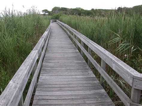 Dscn Fire Island Ny August John Boggan Flickr