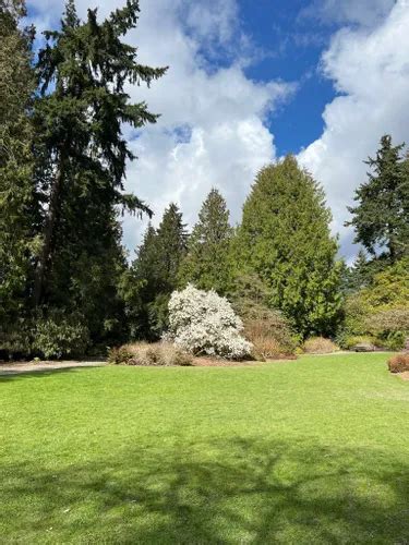 Best Hikes and Trails in Washington Park Arboretum | AllTrails