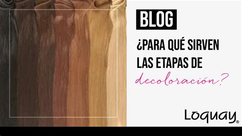 ¿para Qué Sirven Las Etapas De Decoloración Tinte Para El Cabello