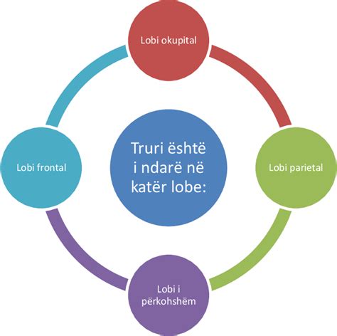 Figure 1 from ROLI I INFERMIERIT NË TRAJTIMIN E PACIENTËVE NGA ABCESI I