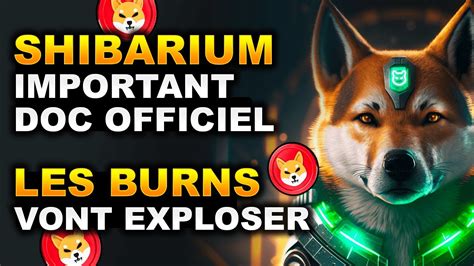 A Va Exploser Shibarium Shib Burn Par Transaction Actu Crypto