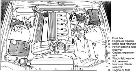 Bmw 325i Engine Diagram