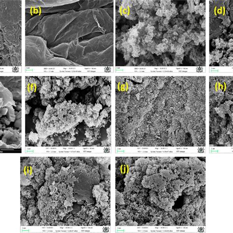 Fesem Micrographs Of A Go B Rgo C Pani D Rgo Pani E Te F