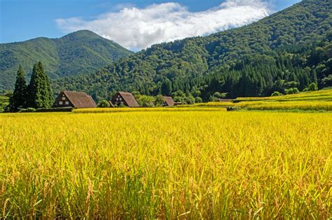 【白川郷の観光ガイド】日本の原風景と伝統文化を目で見て肌で感じよう Good Luck Trip