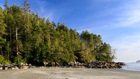 Tonquin Beach Hike | Tofino Trails