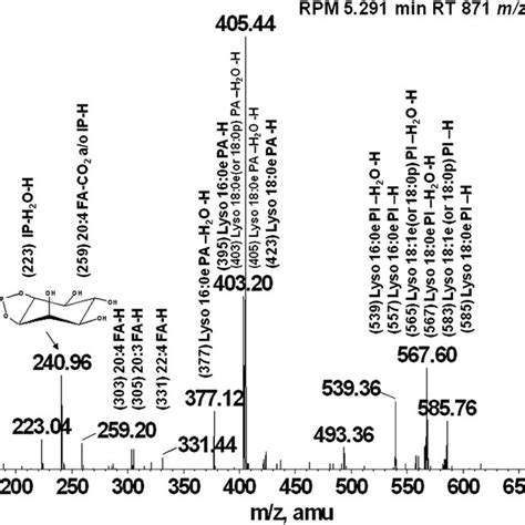 Ms Ms Spectra From A Representative Pt Lipid Fragmentation Of The