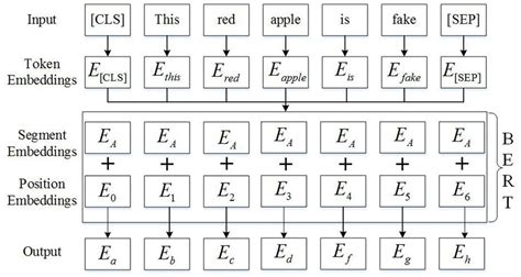 Unreal Information Detection Method Based On Bert Model And Enhanced