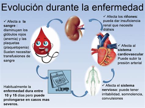 Evolución De La Enfermedad Del Dengue Imágenes Y Noticias