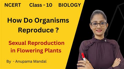 Sexual Reproduction In Flowering Plants Class 10 Biology Science