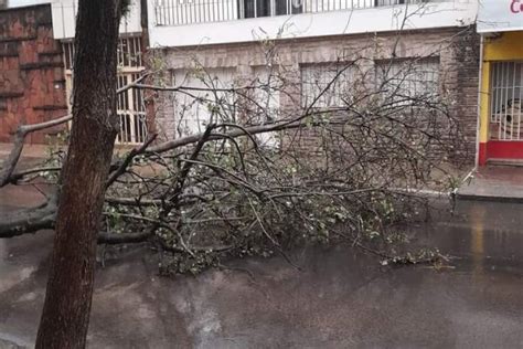 Tormenta En Corrientes Capital Y El Interior Rboles Ca Dos Voladuras