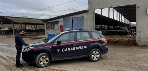 Marche Carabinieri Forestali 64 757 Controlli Eseguiti Nel 2021