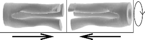 Figure From Dynamic Counterpropagating Vector Solitons In Saturable