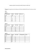 Chemical Kinetics Docx Chemical Kinetics Factors Affecting The Rate