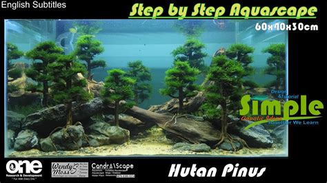 Step By Step Aquascape 60cm Tema Hutan Pinus Ala Nickz Aquascape 52