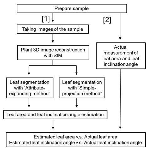 Automatic Leaf Segmentation For Estimating Leaf Area And Leaf