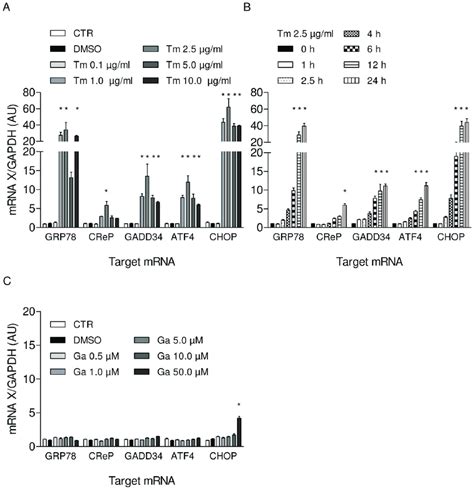 Effects Of Tunicamycin And Guanabenz On Different Branches Of The Upr