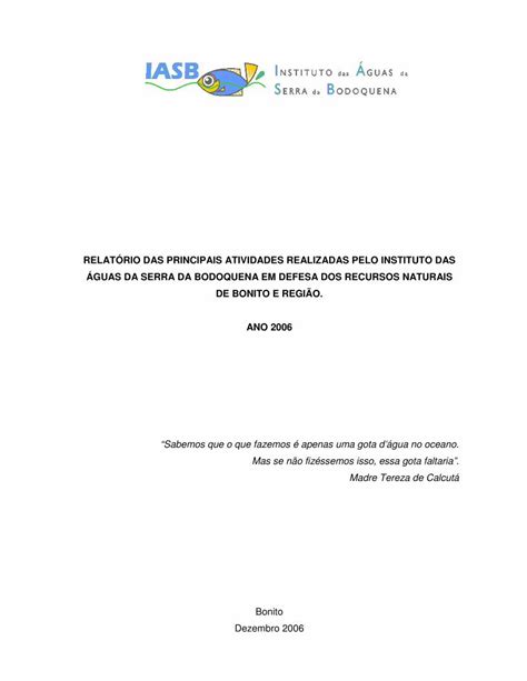 Pdf Relat Rio Das Principais Atividades Iasb Org Br Arquivos