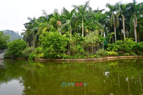 广州滴水岩森林公园广州市番禺区广州滴水岩森林公园旅游指南 组图