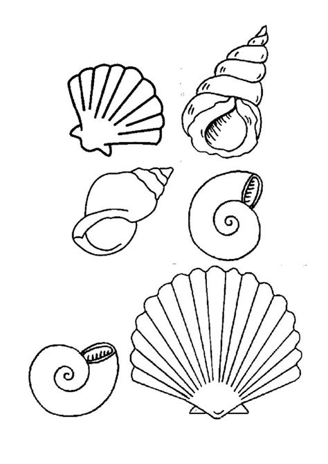 Coloriage Coquillage De Mer Colorier Dessin Imprimer Coquillage