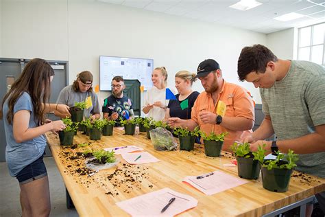 Horticulture Oklahoma State University