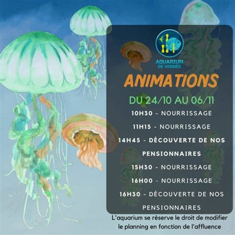 Animations Du Octobre Au Novembre Aquarium De Vend E