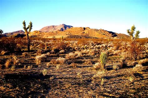 Mojave Desert, California Weather Forecast / Climate