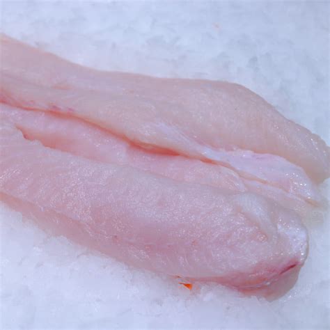 Monkfish Fillets – Seafood and More