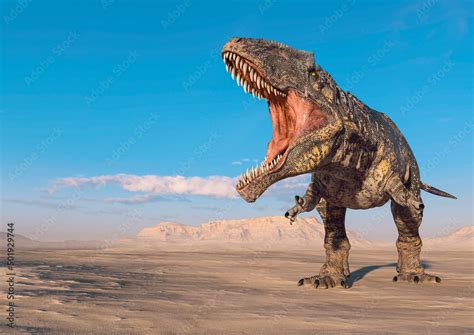 Giganotosaurus Is Doing A Intimidating Pose On Sunset Desert With Copy Space Stock Illustration