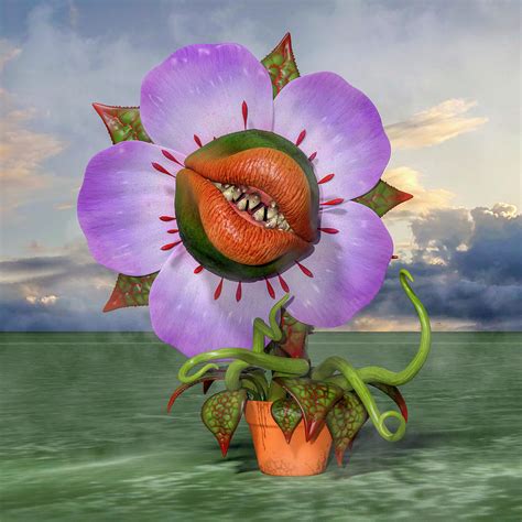 Happy Venus Fly Trap Digital Art By Betsy Knapp Pixels