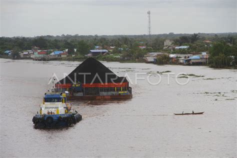 HARGA BATU BARA INDONESIA NAIK ANTARA Foto