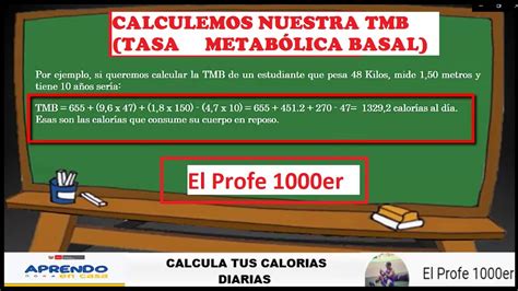 Cálculo De Metabolismo Basal