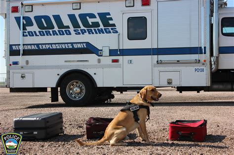 Cspd Explosive Detection K9s Participate In National Oder Recognition