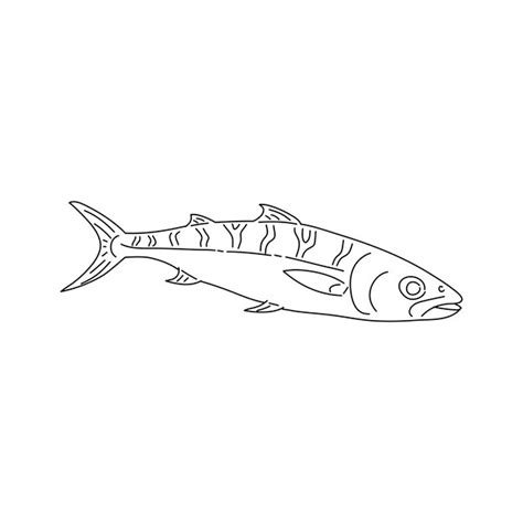 Premium Vector Atlantic Mackerel Sketch Vintage Hand Drawn Fish In