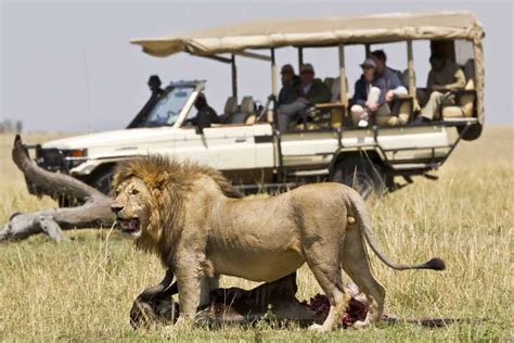 Masai Mara Safari De Jours Pour La Grande Migration Des Gnous