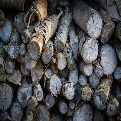 Firewood – Seasoning and Drying - DrToddShupe.com