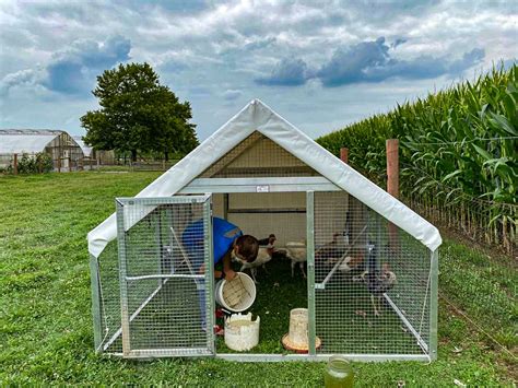 Mobile Turkey Coop Convenient Home For Your Flock