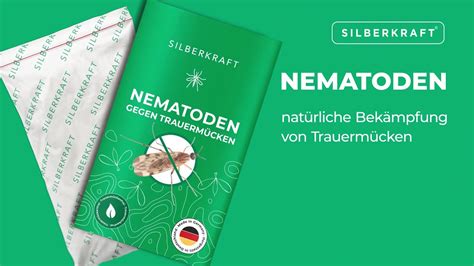 Sf Nematoden Zur Bek Mpfung Von Trauerm Cken Nachhaltig Sch Dlingsfrei