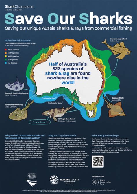 Shark Posters - Australian Marine Conservation Society