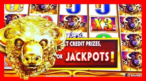 Insane Buffalo Gold Revolution Bonus First Slot Machine Played In