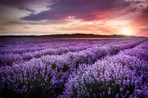 12 photos qui devraient apaiser tous les habitués du RER Plantes qui