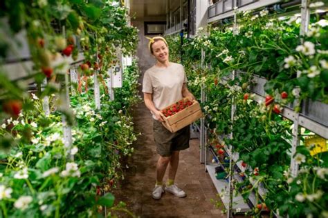 Vorteile von Vertical Farming Ein Umfassender Überblick