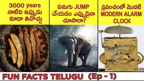 🔰 Top Amazing Unknown And Interesting Facts In Telugu Fun Facts